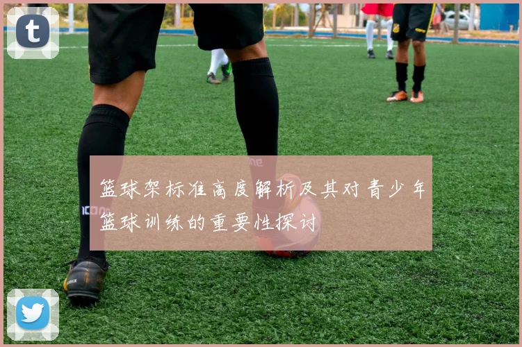 篮球架标准高度解析及其对青少年篮球训练的重要性探讨